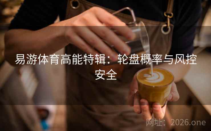 易游体育高能特辑：轮盘概率与风控安全  第1张