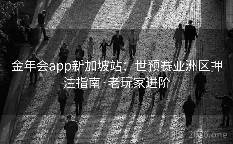 金年会app新加坡站：世预赛亚洲区押注指南·老玩家进阶  第1张