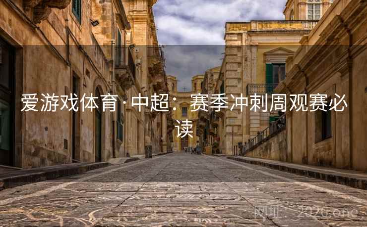 爱游戏体育·中超：赛季冲刺周观赛必读  第2张