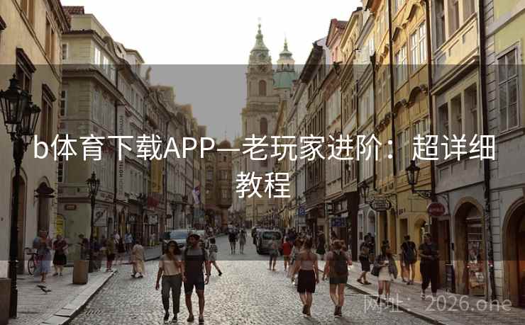 b体育下载APP—老玩家进阶：超详细教程  第1张