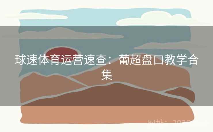 球速体育运营速查：葡超盘口教学合集  第1张