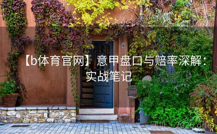 【b体育官网】意甲盘口与赔率深解：实战笔记  第2张