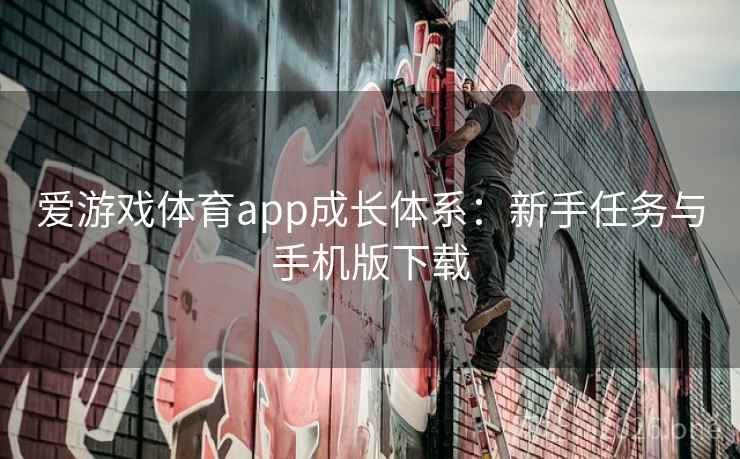 爱游戏体育app成长体系：新手任务与手机版下载  第2张