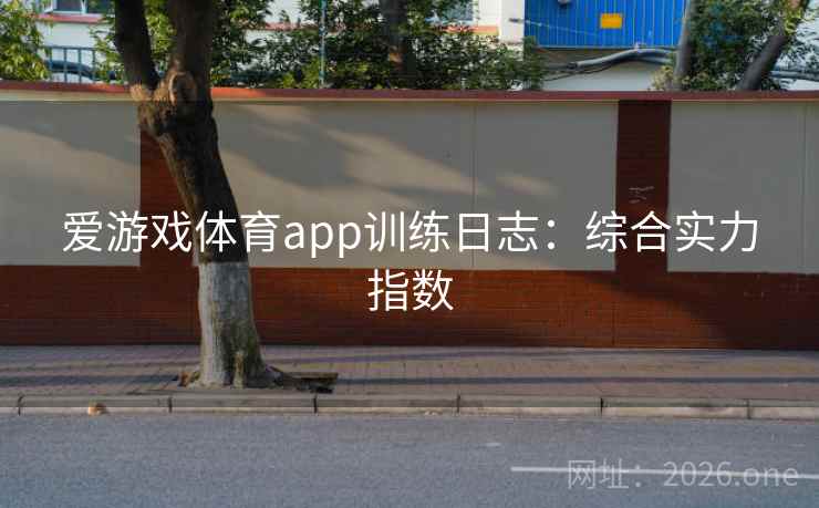 爱游戏体育app训练日志：综合实力指数  第1张