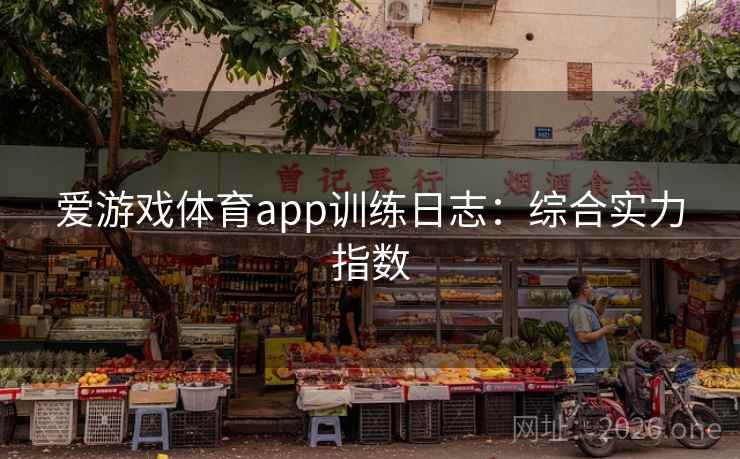 爱游戏体育app训练日志：综合实力指数  第2张
