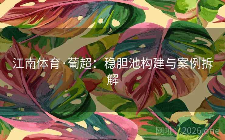 江南体育·葡超：稳胆池构建与案例拆解  第1张