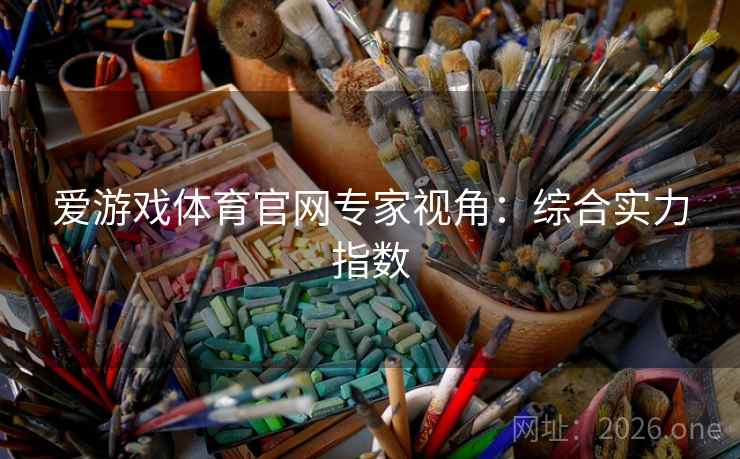 爱游戏体育官网专家视角：综合实力指数  第2张