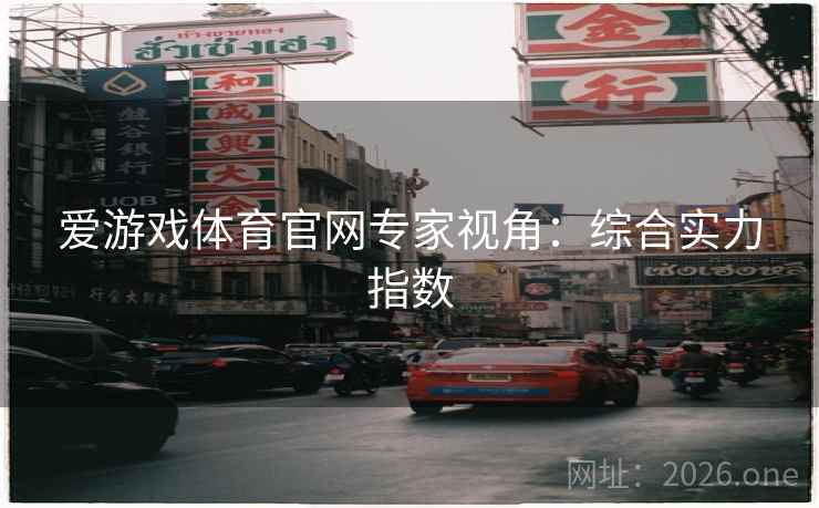 爱游戏体育官网专家视角：综合实力指数  第1张