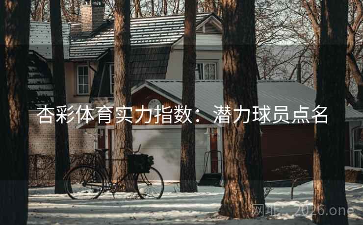 杏彩体育实力指数：潜力球员点名  第1张
