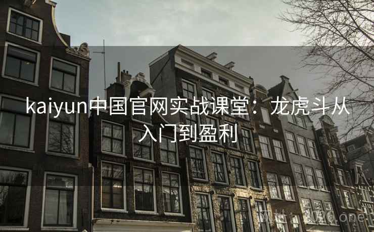 kaiyun中国官网实战课堂：龙虎斗从入门到盈利  第2张