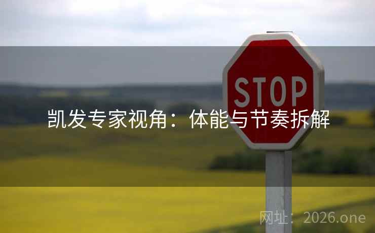 凯发专家视角：体能与节奏拆解  第2张