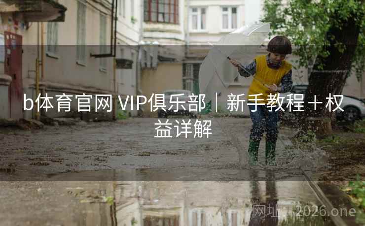 b体育官网 VIP俱乐部｜新手教程＋权益详解  第2张