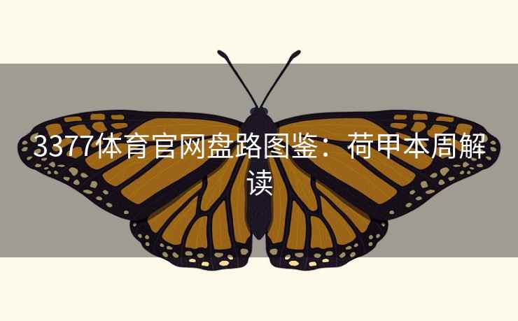 3377体育官网盘路图鉴：荷甲本周解读  第1张