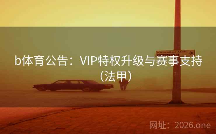 b体育公告：VIP特权升级与赛事支持（法甲）  第2张