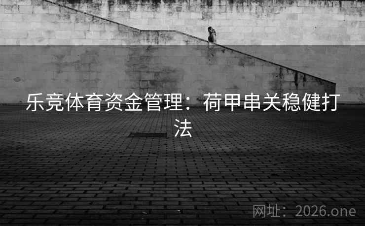 乐竞体育资金管理：荷甲串关稳健打法  第1张