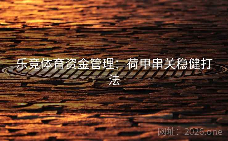 乐竞体育资金管理：荷甲串关稳健打法  第2张