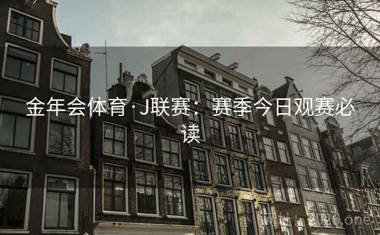 金年会体育·J联赛：赛季今日观赛必读  第2张