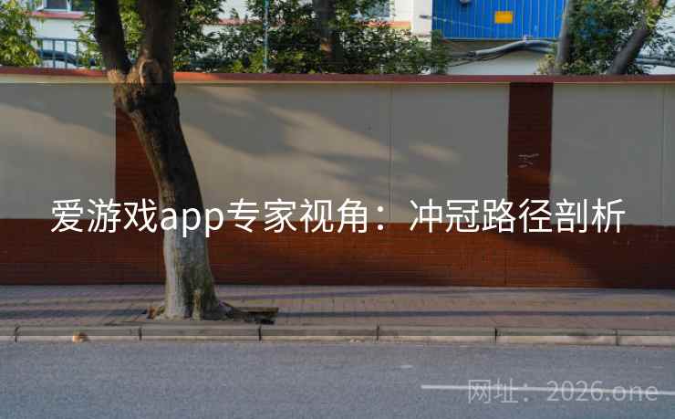 爱游戏app专家视角：冲冠路径剖析  第2张