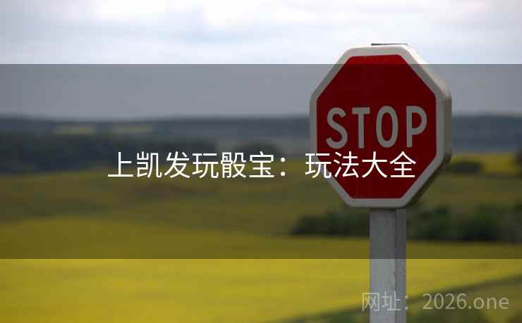 上凯发玩骰宝：玩法大全  第2张