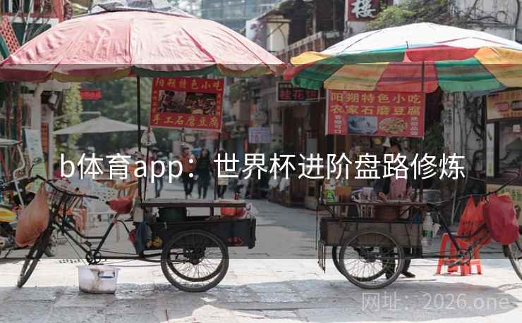 b体育app：世界杯进阶盘路修炼  第2张