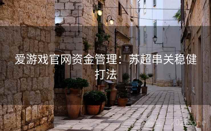 爱游戏官网资金管理：苏超串关稳健打法  第2张