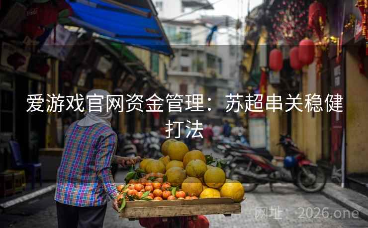 爱游戏官网资金管理：苏超串关稳健打法  第1张