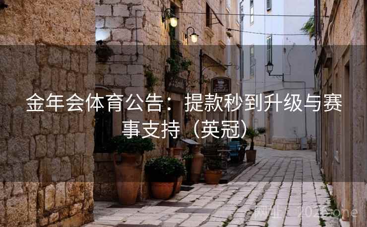 金年会体育公告：提款秒到升级与赛事支持（英冠）  第1张