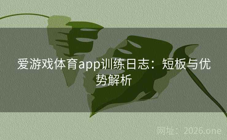 爱游戏体育app训练日志：短板与优势解析  第1张