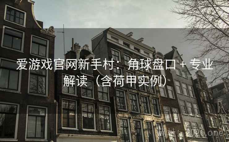爱游戏官网新手村：角球盘口 + 专业解读（含荷甲实例）  第2张