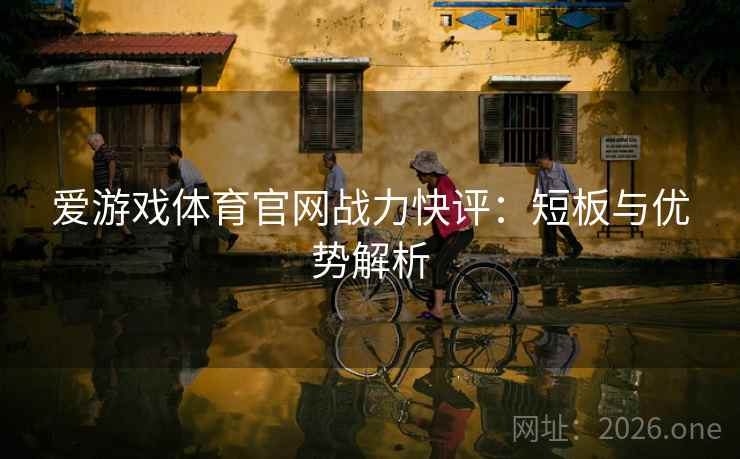 爱游戏体育官网战力快评：短板与优势解析  第1张
