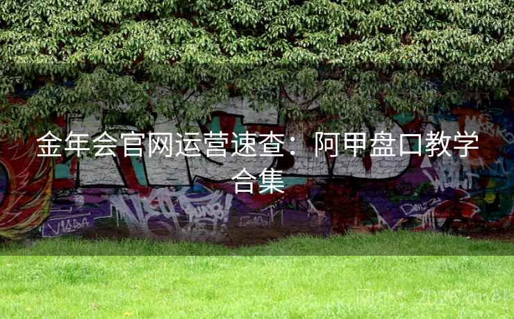 金年会官网运营速查：阿甲盘口教学合集  第1张