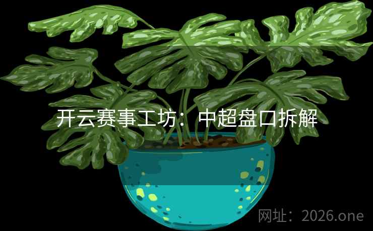 开云赛事工坊：中超盘口拆解  第2张