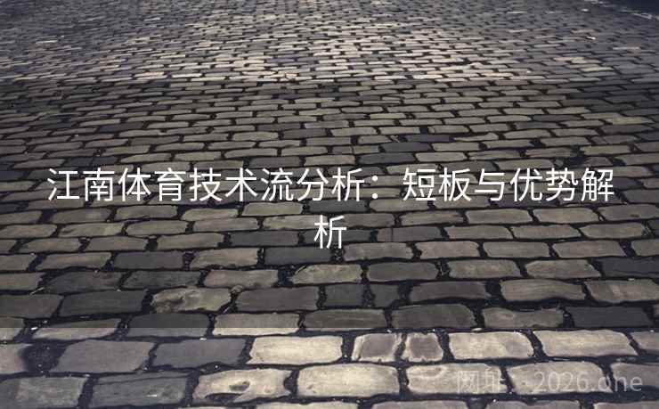 江南体育技术流分析：短板与优势解析  第2张