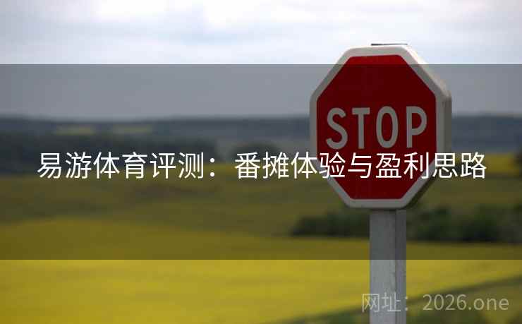 易游体育评测：番摊体验与盈利思路  第1张