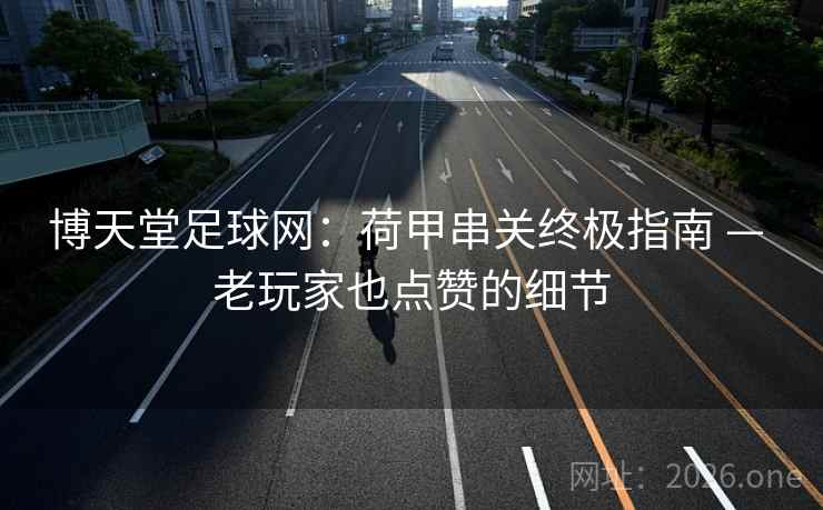 博天堂足球网：荷甲串关终极指南 — 老玩家也点赞的细节  第1张